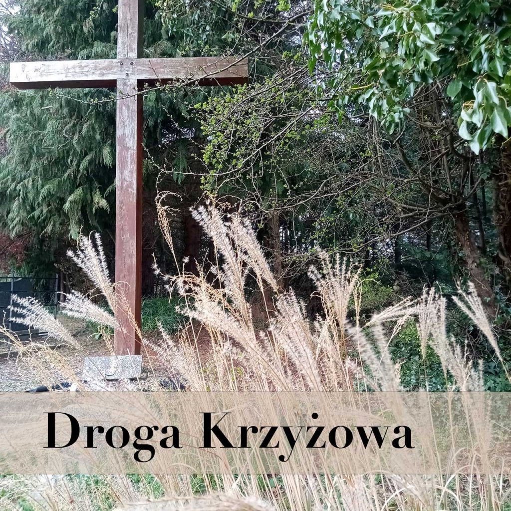 Droga-Krzyzowa-2022-Spotkania-Malzenskie-Irlandia-30